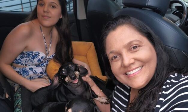 Crescimento da população pet impulsiona cuidados e mercado veterinário