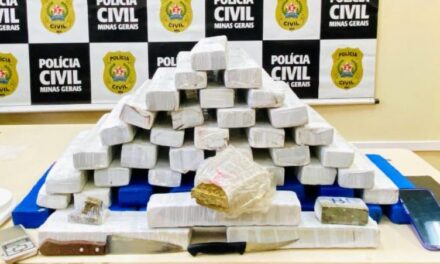 Casal é preso após polícia encontrar quase 50 barras de maconha ao lado da cama dos filhos