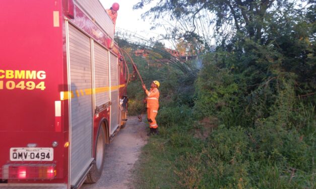 Incêndio em moita de bambu interrompe acesso a residências na comunidade Papagaio, em Formiga