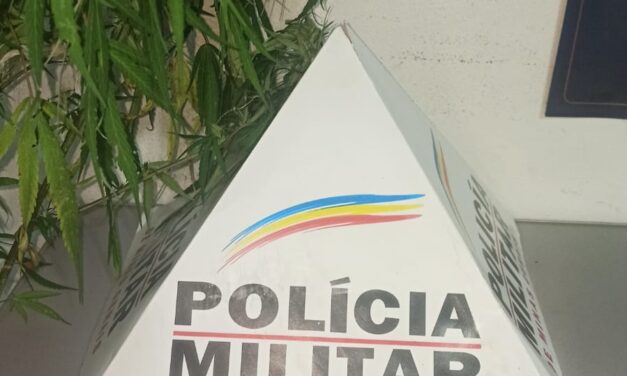 Formiga: menor é apreendido com drogas após fugir da polícia