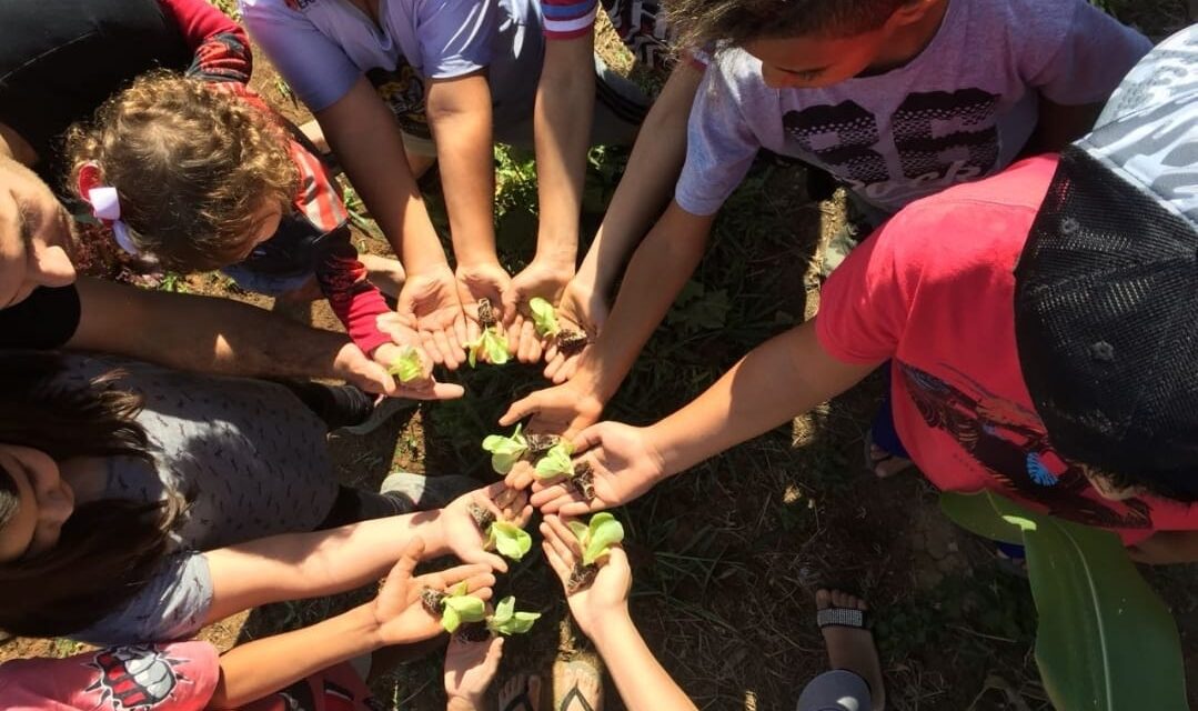 Horta Urbana: projeto fortalece parcerias e expande atividades em escolas de Formiga