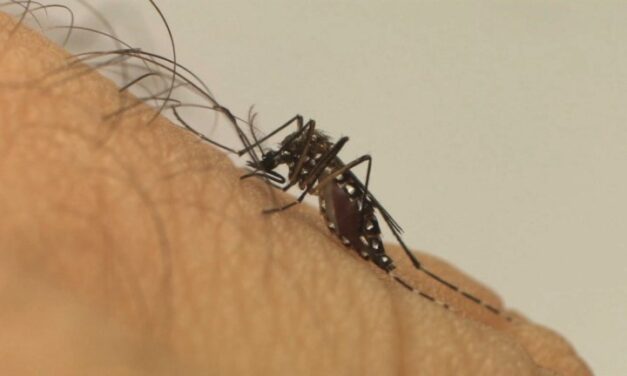 Dengue deixa Uberlândia em emergência  