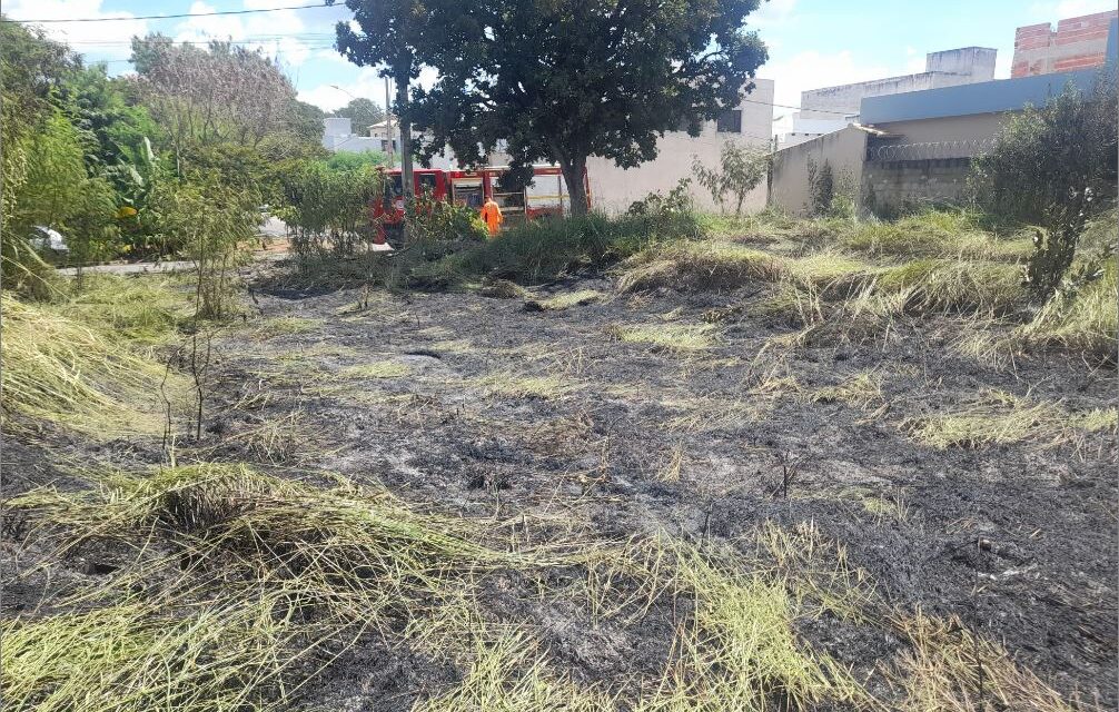 Bombeiros controlam incêndio em lote vago na rua Belgrado em Arcos