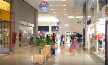 Mercado de franquias cresce 13,5% e fatura R$ 273 bilhões em 2024