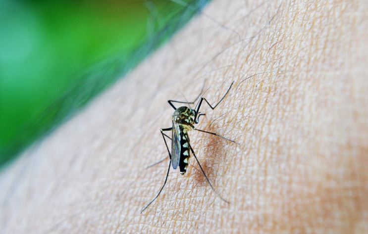 MG confirma mais uma morte por dengue em 2025