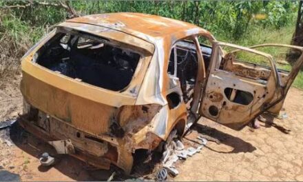 Ossada humana é encontrada próximo a veículo queimado em área de usina em Monte Belo, MG