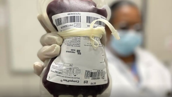 Anvisa aprova novo tratamento para condição sanguínea rara