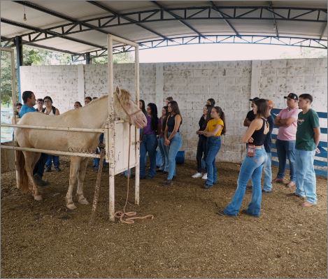 Alunos de Medicina Veterinária dão início à jornada acadêmica com Aula Inaugural