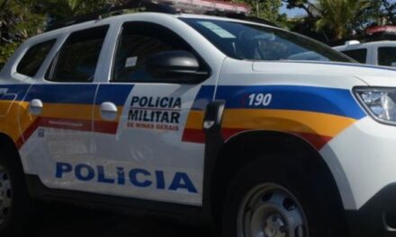Homem que atropelou cão em Arcos é identificado e pode responder pelo crime na justiça