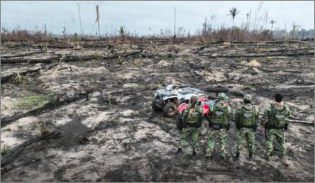 AGU cobra R$ 76 milhões de desmatadores em cinco biomas