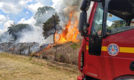 Bombeiros combatem incêndio em vegetação no bairro Novo Santo Antônio, em Formiga