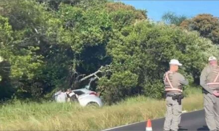 Mulher sofre acidente, sai do carro e morre atropelada