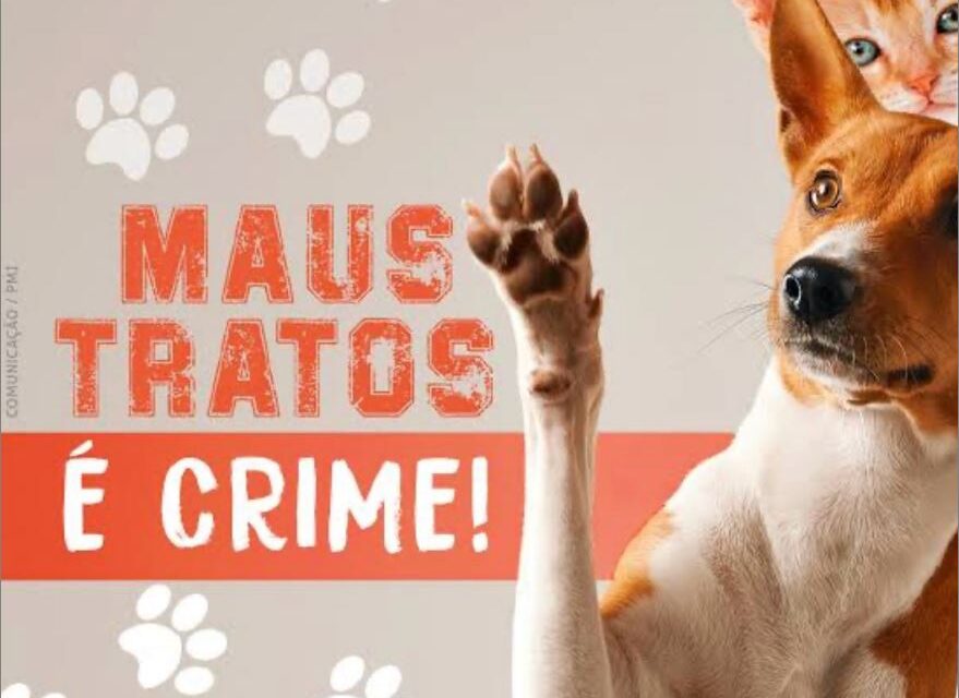 Polícia Militar prende homem por maus-tratos a animais em Bambuí