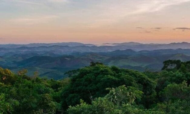 Minas lidera criação de reservas  