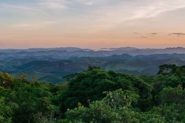 Minas lidera criação de reservas  