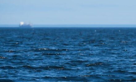 Elevação acentuada do nível do mar surpreende pesquisadores da NASA