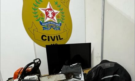 Operação “O Regresso” resulta em prisões por furto qualificado