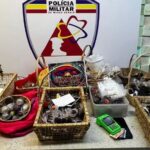Operação policial apreende centenas de ‘brisadeiros’ e ‘doces mágicos’ em São Tomé das Letras