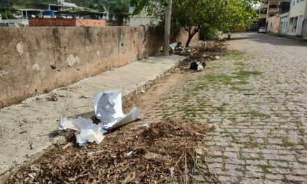 Alô Gestão Ambiental e Limpeza Urbana
