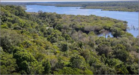 Corpo de piloto desaparecido na Amazônia é encontrado