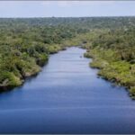 Organizações sociais propõem plano para investimentos na Amazônia