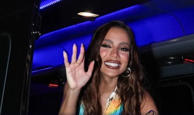 Anitta processa marcas de vermífugo e gim para ter nome exclusivo, diz colunista