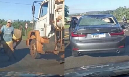 Vídeo: touro solto em avenida persegue pedestre e destrói BMW em SP