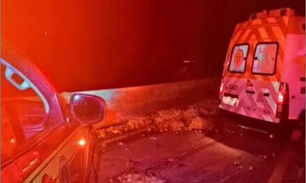 Motorista é resgatado com vida após caminhão carregado de batata cair de uma altura de 8 metros na BR-494, em Carmo da Mata
