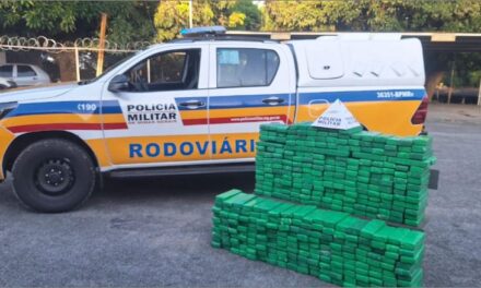 PMRv apreende 406 barras de maconha e veículo clonado na MG-050, em Formiga