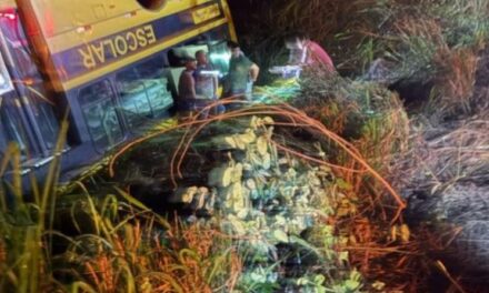 Acidente com ônibus que transportava universitários deixa 8 feridos em Minas Gerais