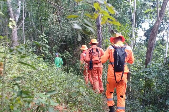 Mais de 30 dias de angústia: família continua procura por idoso desaparecido em Pains mesmo após fim das buscas dos bombeiros