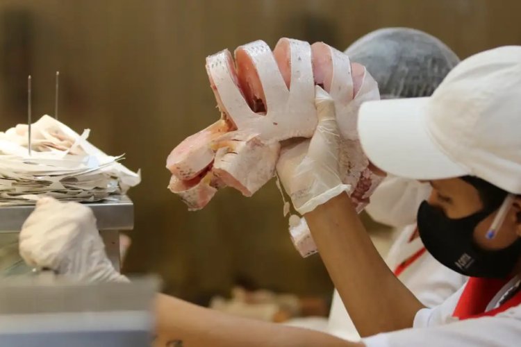 Pescado aumenta de preço em Uberlândia  