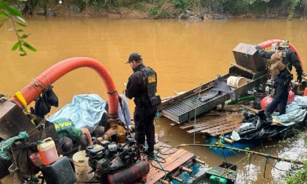 Operação combate extração de ouro  