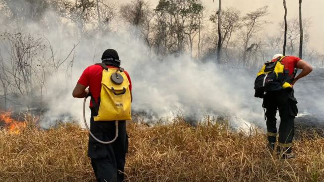 Maranhão terá R$ 45 milhões do Fundo Amazônia para combater incêndios