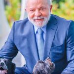 Lula lança RG animal para cães e gatos