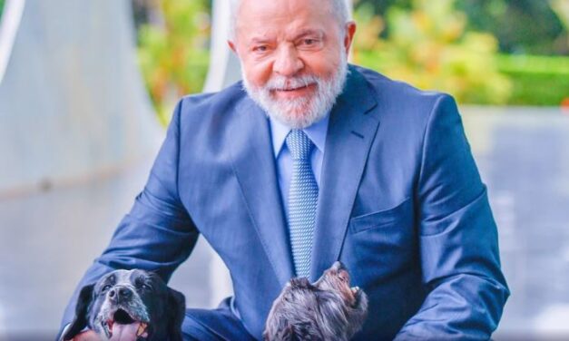 Lula lança RG animal para cães e gatos