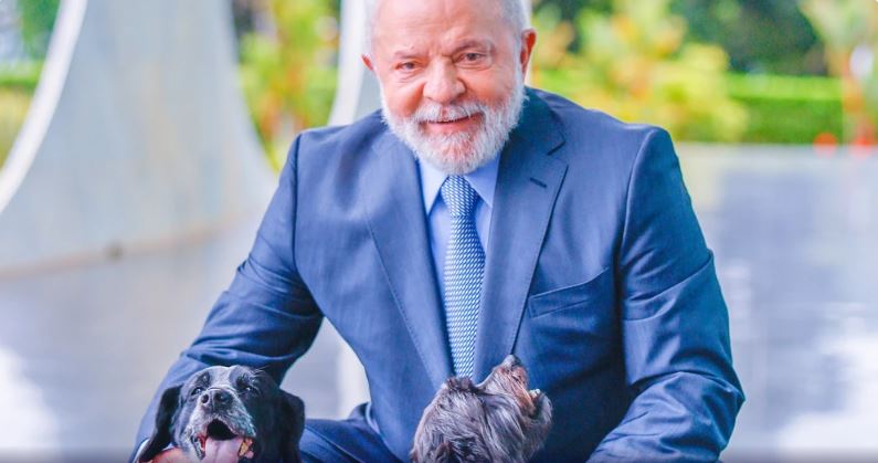 Lula lança RG animal para cães e gatos