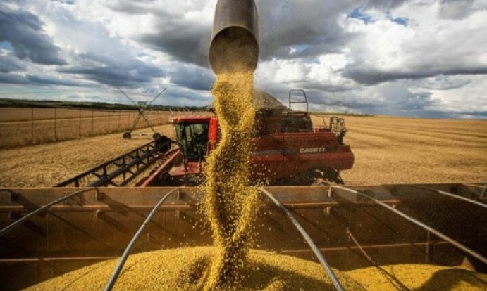 China mostra chegada da soja brasileira e diz que não precisa dos EUA