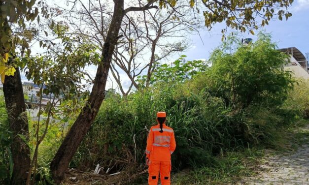 Corpo de Bombeiros realiza vistorias preventivas em lotes vagos no bairro Mangabeiras, em Formiga
