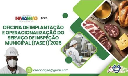 SIM de Formiga teve participação destacada em evento estratégico no Maranhão