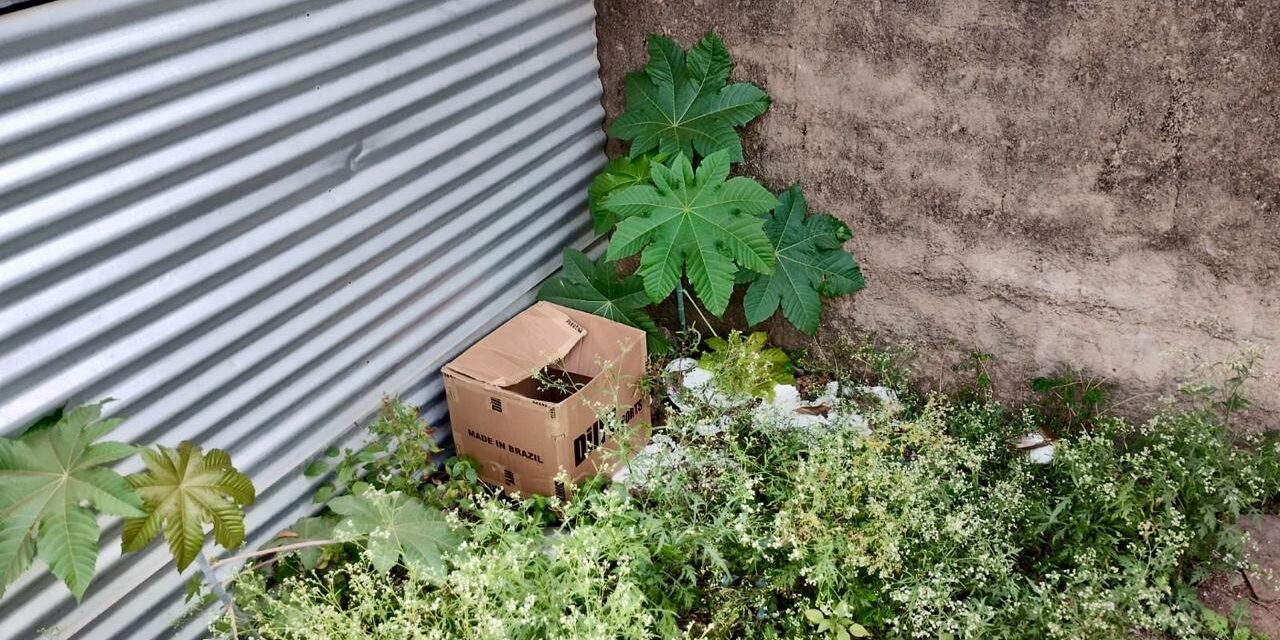 Bebê prematuro é abandonado em caixa no bairro Vargem Grande, em Formiga