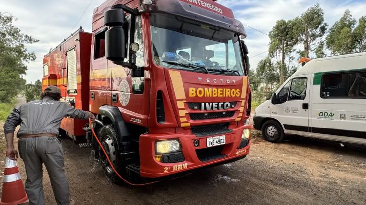 Barreiras sanitárias contra a gripe aviária são reduzidas no RS