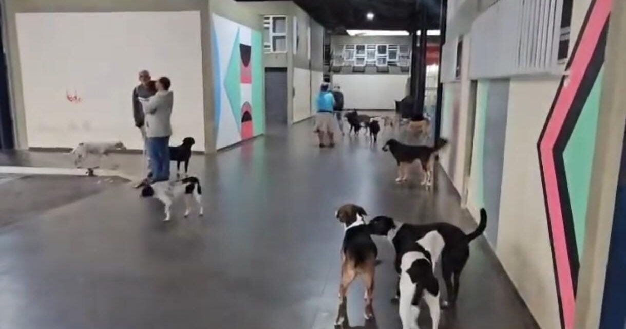 O que o turista encontra quando chega em Formiga?