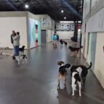 O que o turista encontra quando chega em Formiga?