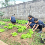 De espaço ocioso a horta escolar: protagonismo dos alunos da Escola Célia de Melo