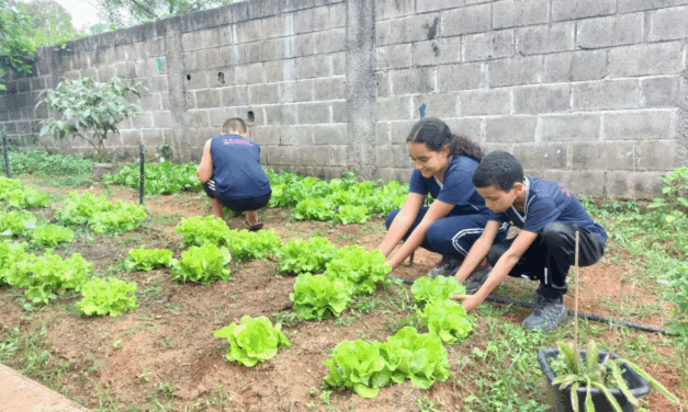 De espaço ocioso à horta escolar: protagonismo dos alunos da Escola Célia de Melo