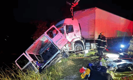 Acidente entre carreta e micro-ônibus deixa 9 mortos e 10 feridos na BR-251