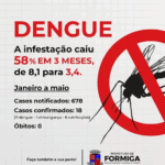 Formiga reduz infestação da dengue e retoma estado de normalidade
