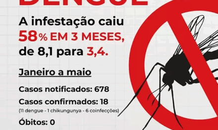 Formiga reduz infestação da dengue e retoma estado de normalidade