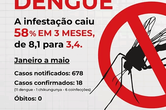 Formiga reduz infestação da dengue e retoma estado de normalidade